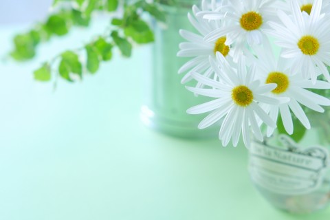 セカンド・オピニオン